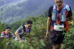 BIB: 
                            <button type="button" onclick="openModal(24764714)" class="btn btn-primary btn-sm float-right btn-popup" data-toggle="modal" data-target=".modal-high-quality">
                        <i class="fas fa-shopping-cart"></i> Add to Cart
                    </button>
                                            <button type="button" onclick="isThisMe(24764714, true)" class="btn btn-success btn-sm float-right btn-popup btn-isme hidden" data-toggle="tooltip" data-placement="bottom" title="นี่คือรูปของคุณใช่ไหม คลิกที่นี่เพื่อเอาเข้าอัลบั้ม">
                        <i class="fas fa-plus"></i> Add to album
                    </button>
                    <button type="button" onclick="isThisMe(24764714, false)" class="btn btn-warning btn-sm float-right btn-popup btn-isnotme hidden">
                        <i class="fas fa-ban"></i> Remove from album
                    </button>